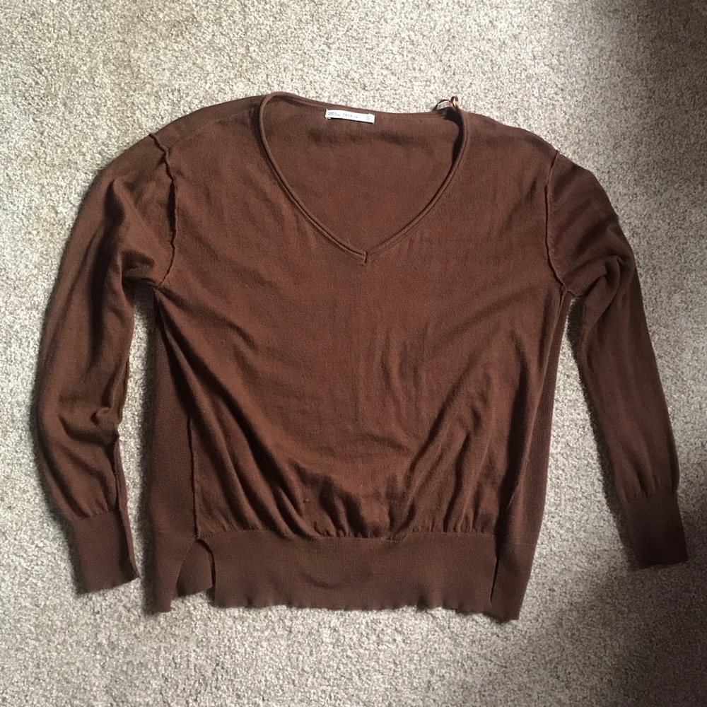 Brown Zara Sweater